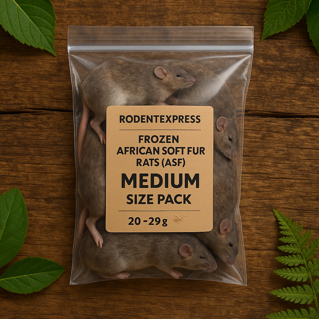 Frozen African Soft Fur Rats (ASF) – Medium Size Pack (20–29g) (10 Pack)
