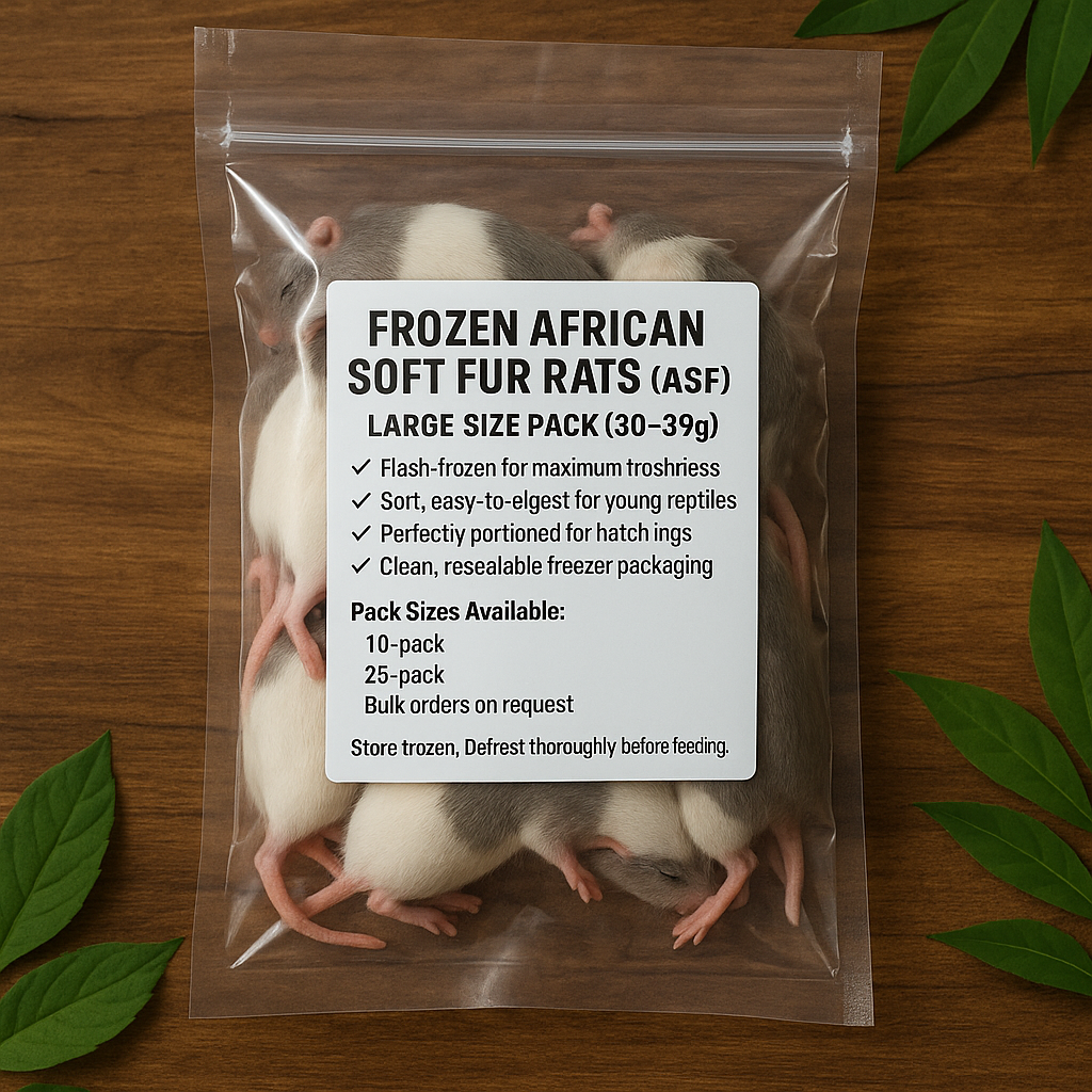 Frozen African Soft Fur Rats (ASF) – Large Size Pack (30–39g) (10 Pack)