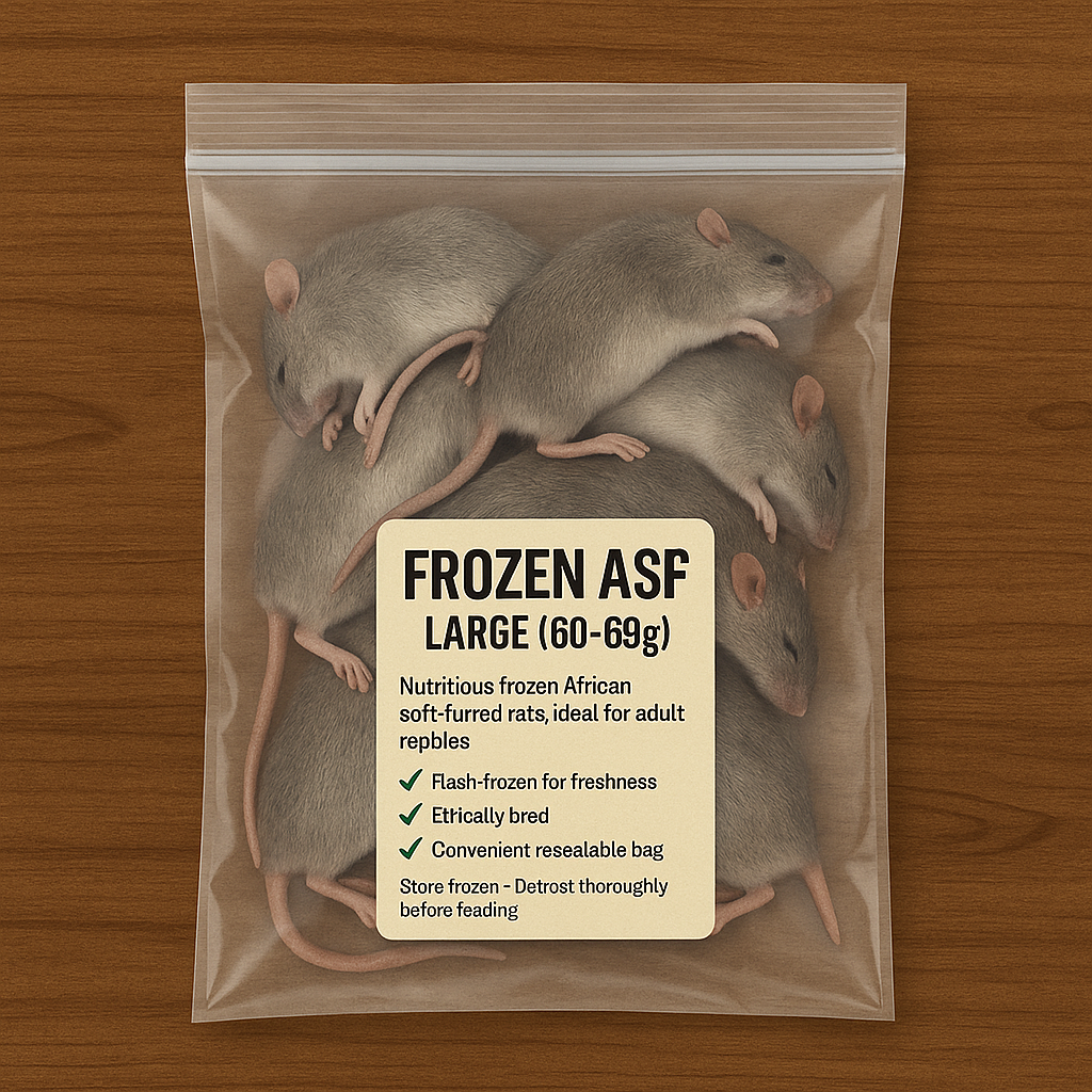 Frozen African Soft Fur Rats (ASF) – 3XL Size Pack (60–69g) (10 Pack)