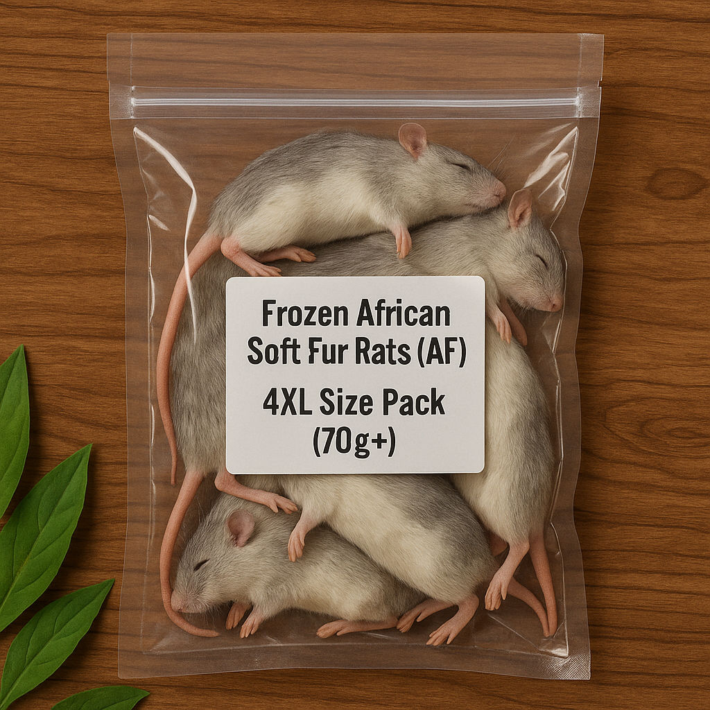 Frozen African Soft Fur Rats (ASF) – 4XL Size Pack (70g+) (10 Pack)
