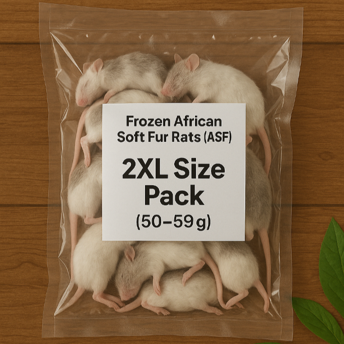 Frozen African Soft Fur Rats (ASF) – 2XL Size Pack (50–59g)