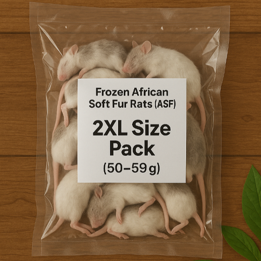 Frozen African Soft Fur Rats (ASF) – 2XL Size Pack (50–59g)