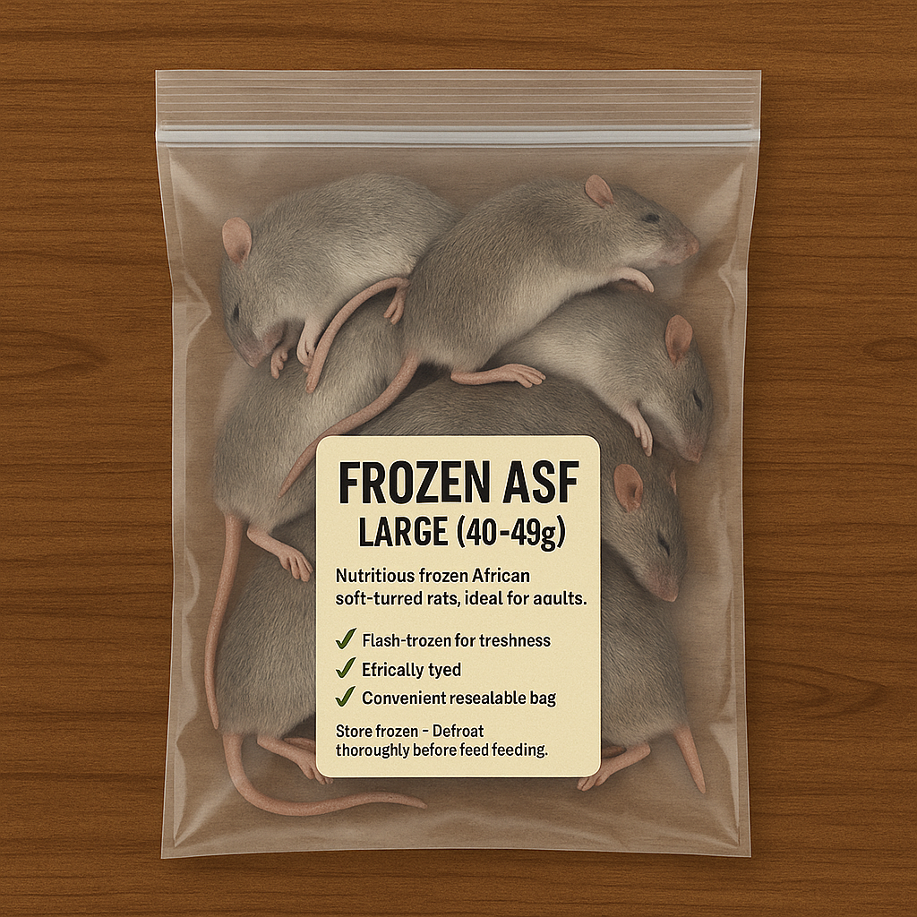 Frozen African Soft Fur Rats (ASF) – 1XL Size Pack (40–49g)