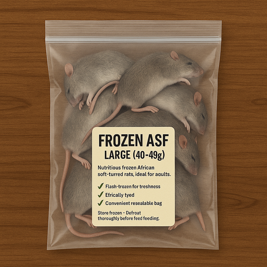 Frozen African Soft Fur Rats (ASF) – 1XL Size Pack (40–49g)