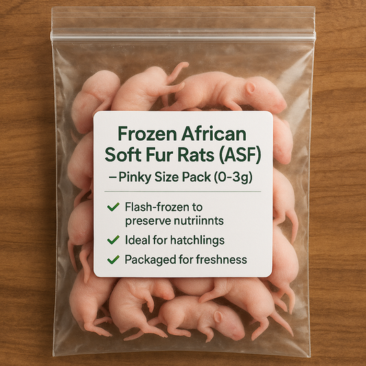 Frozen African Soft Fur Rats (ASF) – Pinky Size Pack (0–3g) (25 Pack)