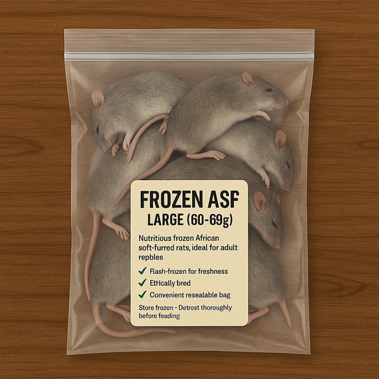 Frozen African Soft Fur Rats (ASF) – 3XL Size Pack (60–69g)
